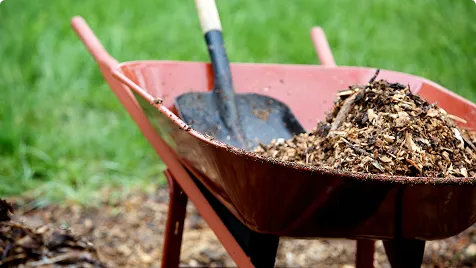 Wheelbarrow filled with mulch and a shovel