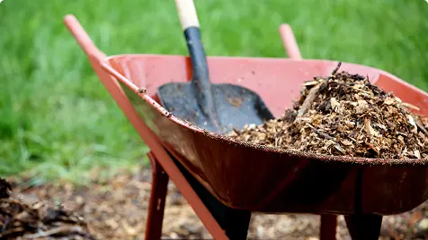 Wheelbarrow filled with mulch and a shovel